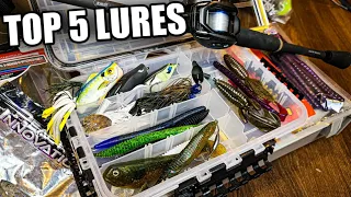 My TOP 5 Summer Bass Fishing Lures (Bank Fishing for Beginners)