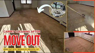 Carpet Cleaning After Move Out | Amazing Results in Berkeley Hights NJ