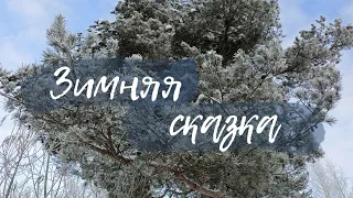 Зимняя сказка (на песню Муслима Магомаева)