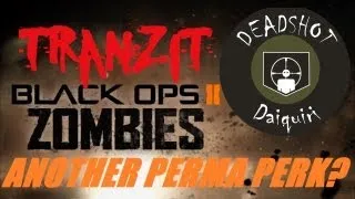 TranZit Zombies: Deadshot Daiquiri Permanent Perk Unlock from Headshots?