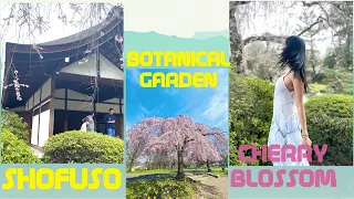 JAPANESE BOTANICAL GARDEN |SHOFUSO house & CHERRY BLOSSOM PARK , Philadelphia
