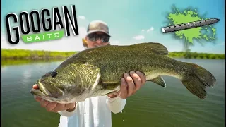 He Caught His BIGGEST FISH EVER out of NOWHERE + (Super Rare Catch)