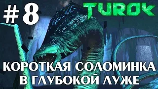 Turok 2008 (HD 1080p 60 fps) - Короткая соломинка / В глубокой луже - прохождение #8