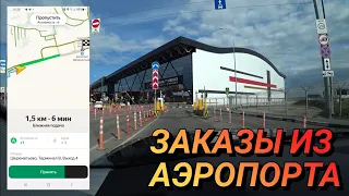 Про работу таксистов в аэропорту Шереметьево / Стоянка ЯндексТакси / Столица Мира Про Жизнь Таксиста