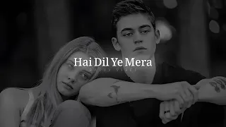 Hai dil ye mera slowed x reverb #slowedandreverb