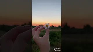 закат ☘️ эстетика природы 🌿