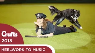 Freestyle Heelwork to Music Competition - Part 1 | Crufts 2018