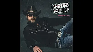 Wheeler Walker Jr. - Redneck Shit - Album Review #Wheelerwalkerjr