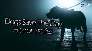 3 Scary Stories Where Dogs Saved the Day | Creepy Encounters Stories | Scary Stories