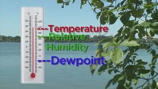 Good Question: What Is The Dew Point?