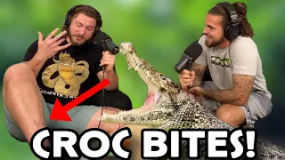 Croc BITES & Wrestling Alligators! with ​⁠@StonesWorld