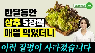 상추 5장을 매일 먹으면 이런 질병이 사라집니다. 상추 효능과 부작용 [정라레]