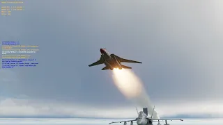 DCS | The f14 is supposed to be like that?