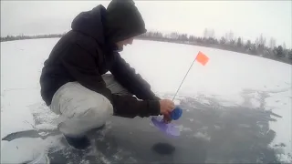 Зимива риболовля на жерліци