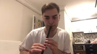 Fee Ra Huri Tin Whistle