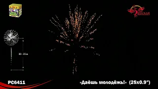 РС6411 Даешь молодежь Батарея салютов 25 залпов калибром 0,9 дюйма (23 мм)