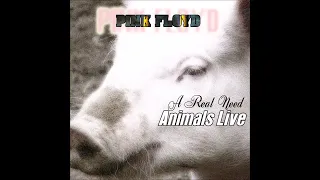 Animals Live