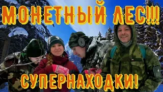 Находка за находкой! Невероятный лес! 1 часть. Коп 2022