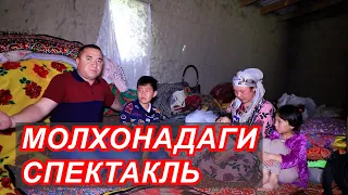 Блогерлар томонидан молхонада яратилган "СПЕКТАКЛЬ"