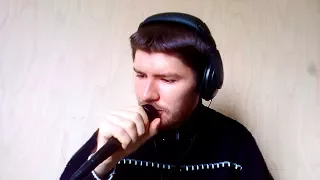 Андрис Зейле - Я тебя рисую. Cover. Раймонд Паулс