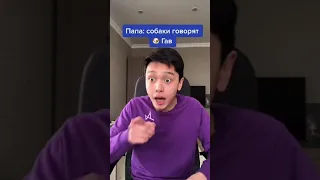 Что говорит Лис 🦊