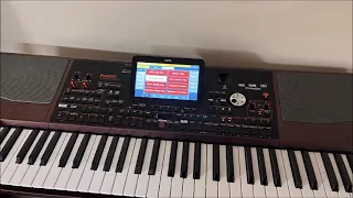 Небо над землёй  музыка korg pa 1000