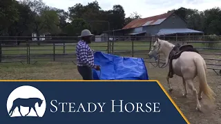 How to Desensitize your Horse with a Tarp