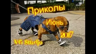 ЛУЧШИЕ ПРИКОЛЫ ИЮНЬ 2017 | Лучшая Подборка Приколов #1