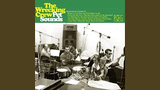 Pet Sounds - Full Album (Isolated Bass & Drums)