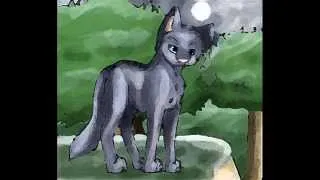 bluestar stands in the rain