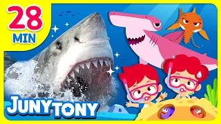 🦈Lagu Hiu + Lebih Banyak Lagu Hewan Laut | ✨Gigi Tajam Silet! | Baby Shark, Lagu Hiu TERBAIK | JunyTony