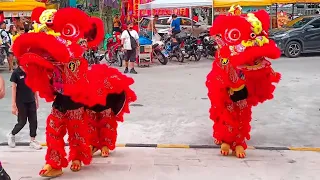 Traditional Lion Dance, Dragon Dance, Sam Tai Tze & Various God