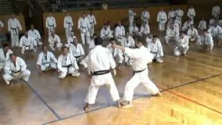 Kihon applications by Sadashige Kato, 9th dan shotokan