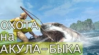 Assassin's Creed 4 Black Flag-охота на акулу быка HD