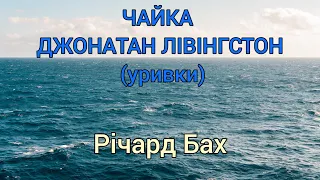 Чайка Джонатан Лівінгстон (уривки) 🪽 Річард Бах