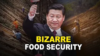 Xi Jinping's "returning forests to farmland" Campaign: The Logic Behind an Absurd Strategy.