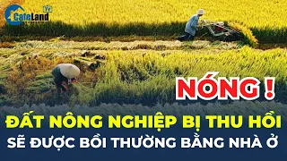 Luật Đất đai sửa đổi: Người có đất nông nghiệp BỊ THU HỒI sẽ được BỒI THƯỜNG BẰNG NHÀ Ở | CafeLand