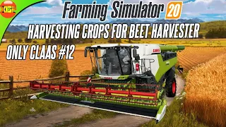 Only Claas FS20 #12 - Harvesting Crops To Buy SugerBeat Harvester | Farming Simulator 20 Timelapse