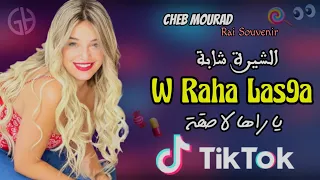 cheb Mourad - chira chaba Raha Las9a ya raki tayra ( الشيرة شابة يا راها لاصقة ) قنبلة التيكتوك