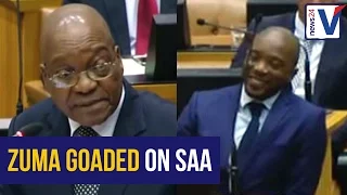 Maimane smirks as Zuma defends SAA's Myeni