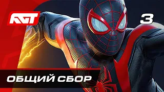 Прохождение Spider-Man: Miles Morales — Часть 3: Общий сбор