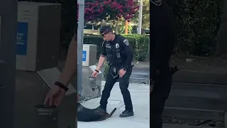 K-9 OFFICER GIVES DOG SOME WATER TO DRINK ON A HOT DAY