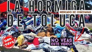 Mercado De Chácharas Toluca “La 🐜 Hormiga” NO VEAS ESTE VIDEO!!