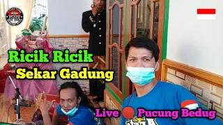 Ricik Ricik || Sekar Gadung || New Arista Music || Banjarnegara || Live 🔴 Pucung Bedug