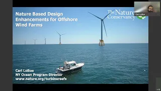 A Panel Discussion on Nature-Based Design Enhancements for Offshore Wind (Learning From the Experts)