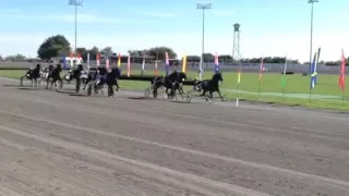 2015 International Trot - Papagayo E (Nor)