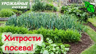 ШОК! Эти растения лучше посеять под зиму ,чем не посеять вообще!