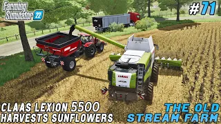 Harvesting sunflowers, collecting stones, spreading lime | The Old Stream | FS 22 | Timelapse #70