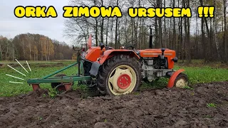 Prawdziwy DŹWIĘK Ursusa c 330 w Orce ZIMOWEJ // Engine Sound !!!!