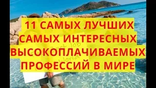 10 самых лучших,самых приятных и самых интересных высокооплачиваемых профессий в мире